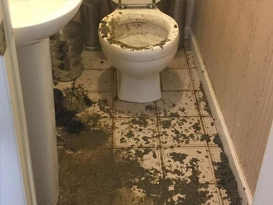 Sewage Water Removal NYC